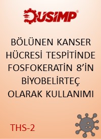 K5